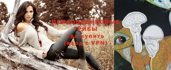 СК Щучье