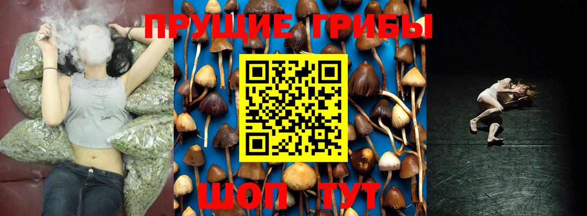 Галлюциногенные грибы Magic Shrooms  Галлюциногенные грибы MAGIC MUSHROOMS  Кемерово  Вход с VPN 