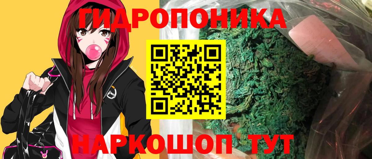 Марихуана SATIVA & INDICA  Конопля OG Kush  Кемерово  Каннабис OG Kush  Канабис план 