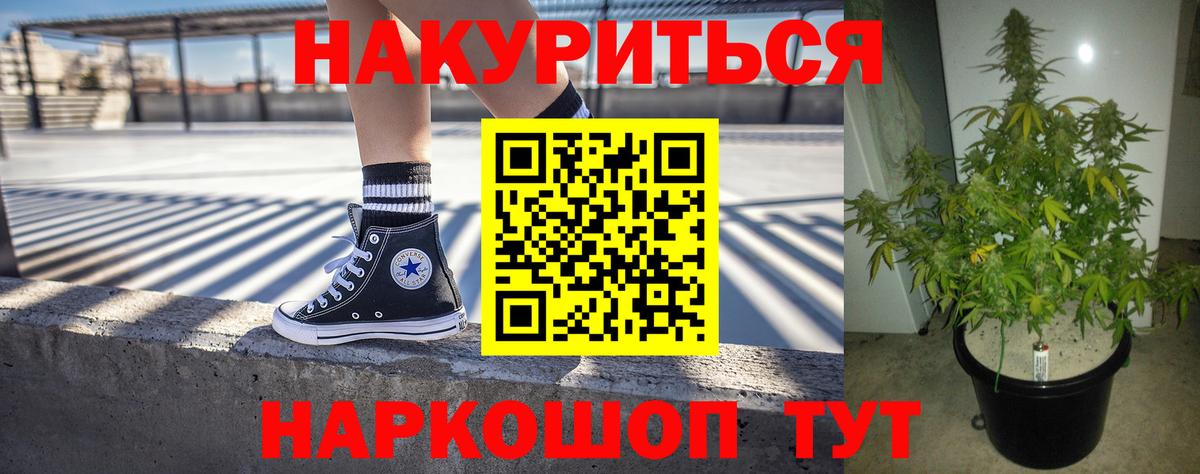 Шишки марихуана планчик  Бошки марихуана White Widow  Вход с VPN  Бошки Шишки марихуана  Марихуана THC 21%  Кемерово 